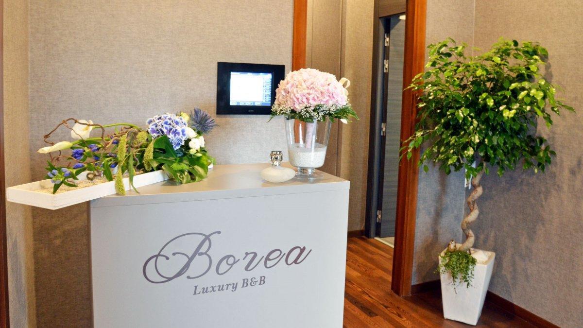 Borea Luxury B&B 佩斯卡拉 外观 照片